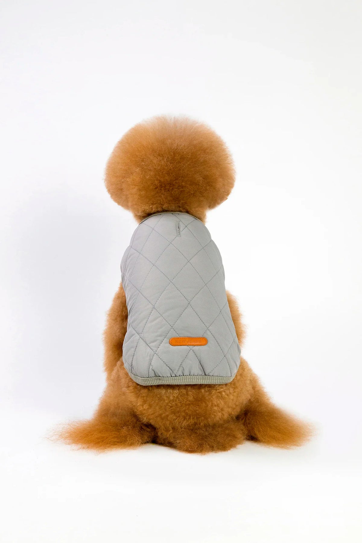 Jacket and Underwear Dog Clothes Autumn and Winter Clothes Small Medium Dog Fleece-lined Thickened Pet Vest Cotton Vest