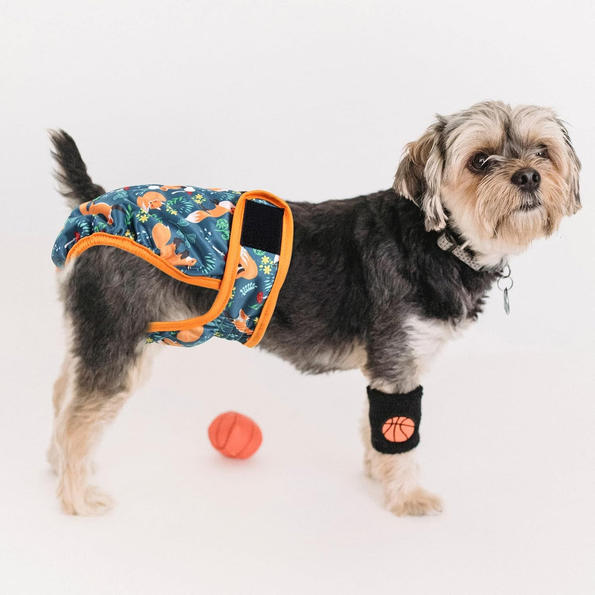 Dog Diaper