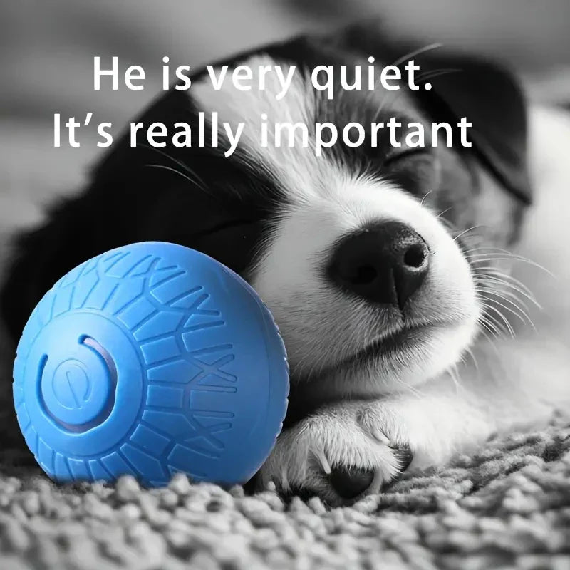 Biting Toys
