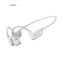 Original  Openrun Pro 2 S820 Bone Conduction Earphone Kipjoge Jointly Signed Wireless Bluetooth Waterproof Sports Open Ear