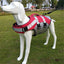 Dogs Life Vest Buoyancy Aid Pets Safety Swimming Coats Adjustable Vest Suit Water Activities Beach Vacations Boating Trips