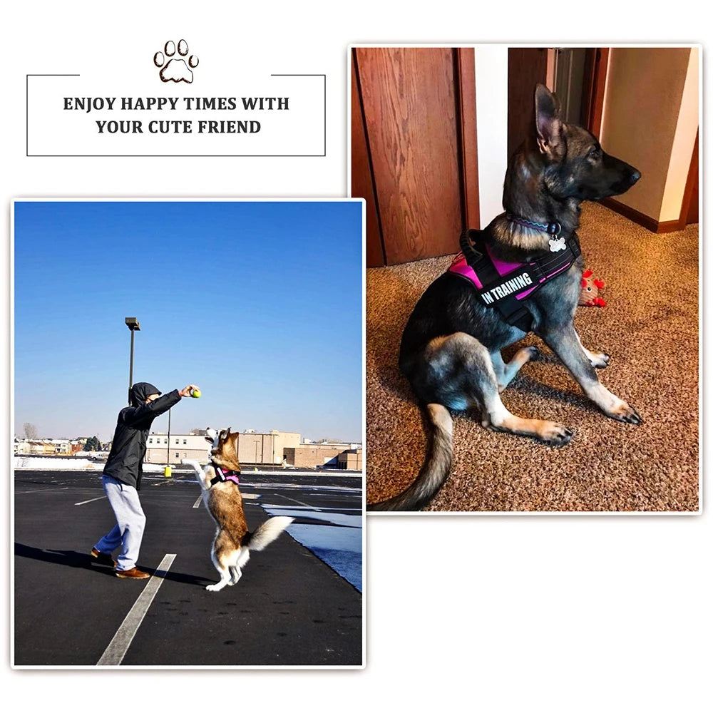 Nylon Personalized Dog harness Reflective Adjustable Harness for Small Medium Large Dogs No Pull Dog Harness for Dropshipping