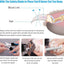 Professional Pet Nail Clipper with Safety Guard  Stainless Steel Scissors Cat Dog for Claw Care Grooming Supplies Size Fits