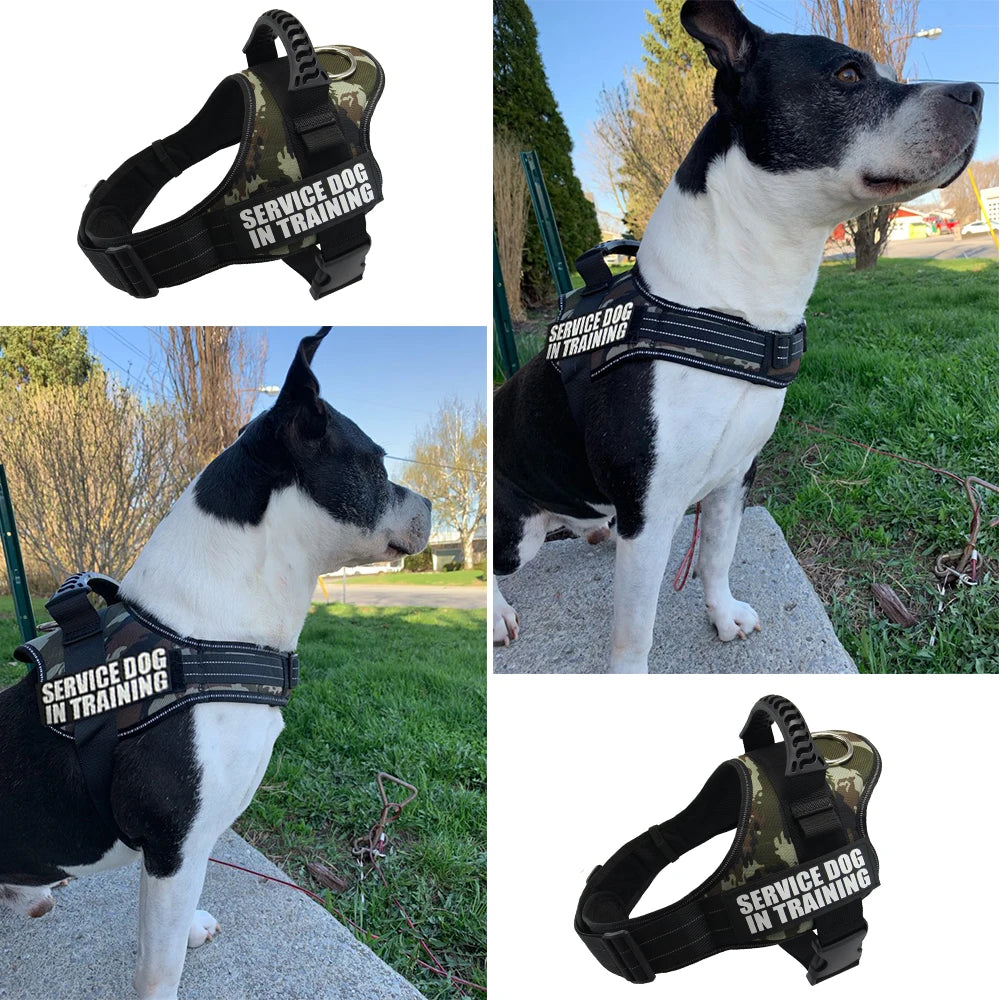 Nylon Personalized Dog harness Reflective Adjustable Harness for Small Medium Large Dogs No Pull Dog Harness for Dropshipping