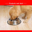 Stainless Steel Pet Bowls for Dogs and Cats - 6 Sizes (XS to XXL) - Feeding and Water Dishes