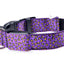 Leopard LED Dog Collar Luminous Adjustable Glowing Collar For Dogs Pet Night Safety Nylon Collar Luminous LED Bright Dog Collar