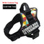 Nylon Personalized Dog harness Reflective Adjustable Harness for Small Medium Large Dogs No Pull Dog Harness for Dropshipping