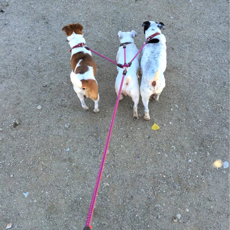 3 Way Couplers Pet Walking Lead 55" Long Nylon Braided Rope Dog Leash For 3 Dogs small dog harness