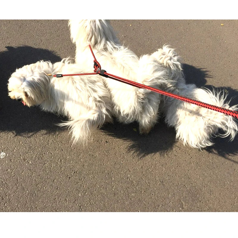 3 Way Couplers Pet Walking Lead 55" Long Nylon Braided Rope Dog Leash For 3 Dogs small dog harness