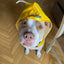 Dog Raincoat Convenient Reflective Pet Rainy Dog Clothes Outdoor Waterproof Cape Pet Raincoat