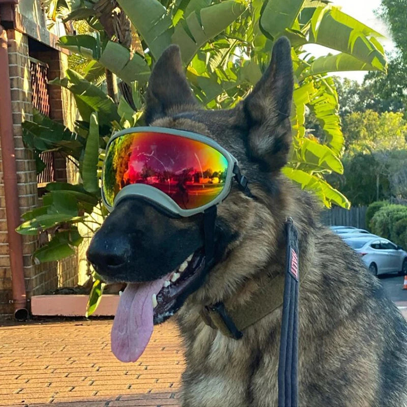 Dog Goggles Sunglasses Anti-UV Sun Glasses Eyewear Protection Adjustable Windproof Sunglasses Pet Dog Supplies For Travel