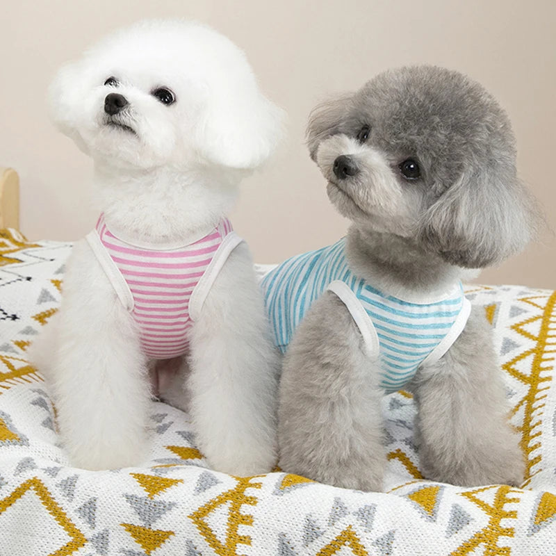 Summer Dog Clothes Cool Pet Vest For small Medium dogs Breathable Puppy T-shirt Costume Outdoor Bulldog Clothing Pets Clothes