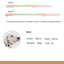 Pet Supplies Dog Collar For Small and Medium Dog Walking Sugar Color Series Cute style PVC Webbing Collar Leashes Set 2024 New