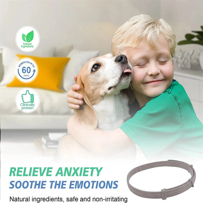 Pet Calm Collar Cat Dog Soothe Collar Adjustable Neck Strap Relieve Anxiety Remove Restlessness Protection Relax Pet Supplies