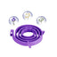 Pet Calm Collar Cat Dog Soothe Collar Adjustable Neck Strap Relieve Anxiety Remove Restlessness Protection Relax Pet Supplies