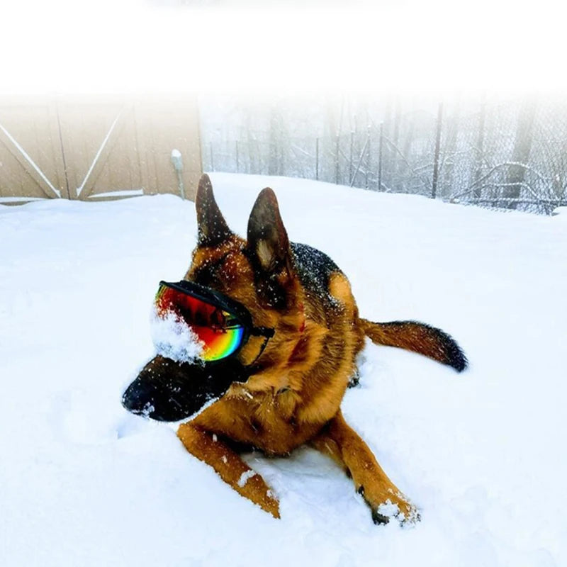 Dog Goggles Sunglasses Anti-UV Sun Glasses Eyewear Protection Adjustable Windproof Sunglasses Pet Dog Supplies For Travel
