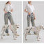 Pet Supplies Dog Collar For Small and Medium Dog Walking Sugar Color Series Cute style PVC Webbing Collar Leashes Set 2024 New