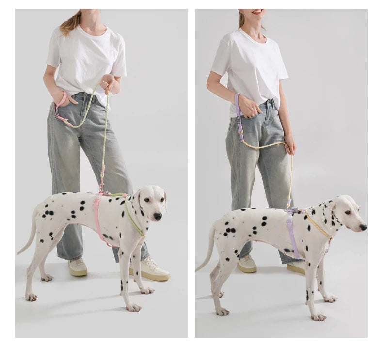 Pet Supplies Dog Collar For Small and Medium Dog Walking Sugar Color Series Cute style PVC Webbing Collar Leashes Set 2024 New