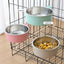 Hanging Stainless Steel Pet Food Bowl - 2-in-1 Detachable Design