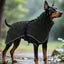 Large Dog Windbreaker Raincoat – Waterproof Outdoor Pet Stormcoat & Rain Gear