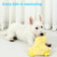 Dog Plush Sound Toys Yellow Duck Puppy Squeaky Interactive Stuffed Toy Bite Chewing Rattle Pet Supplies For Indestructible Dogs