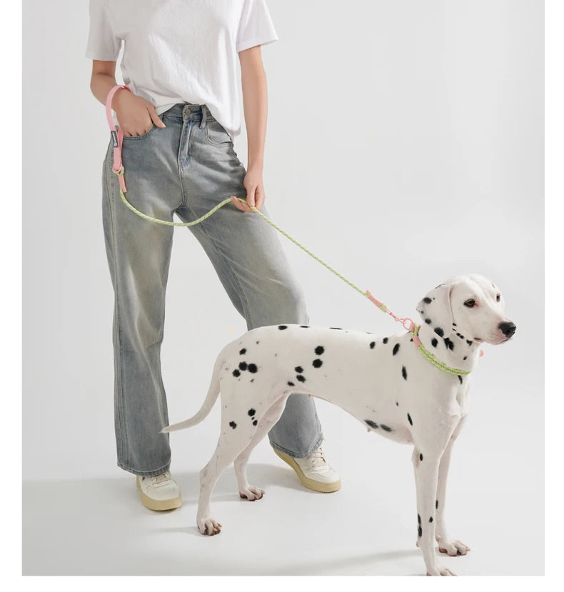 Pet Supplies Dog Collar For Small and Medium Dog Walking Sugar Color Series Cute style PVC Webbing Collar Leashes Set 2024 New