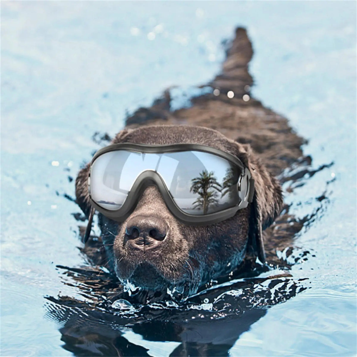 Transparent Color Pet Dog Goggles Waterproof Windproof Sunscreen UV Resistant Large Dog Glasses