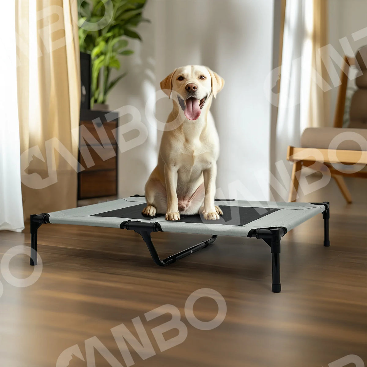 ‌Elevated Outdoor Pet Cot for Large Dogs, Heavy-Duty Frame Summer Camping Bed, Detachable Sunshade Canopy & Portable Dog Tent