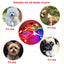 Usb Charging Glowing Dog Collar With Pendant Detachable Luxury Led Light Bright For Small Dogs Cat Night Safety Collar Wholesale