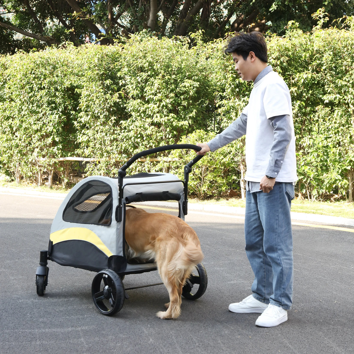 Pet Stroller -good for old or injury dog, 3 sizes, Portable ,Breathable & Foldable