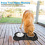 Non-Slip Double Dog Bowl with Silicone Mat