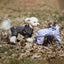 Dog Raincoat With Harness Waterproof Jacket for Small Dogs Adjustable Reflective Dog Rain Overalls Four legged raincoat Pet Rain