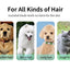 Small Dog Hair Clipper USB Rechargeable Pets Trimmer Cat Shaver Cutting Machine Puppy Carving Grooming Haircut Kit Low Noice