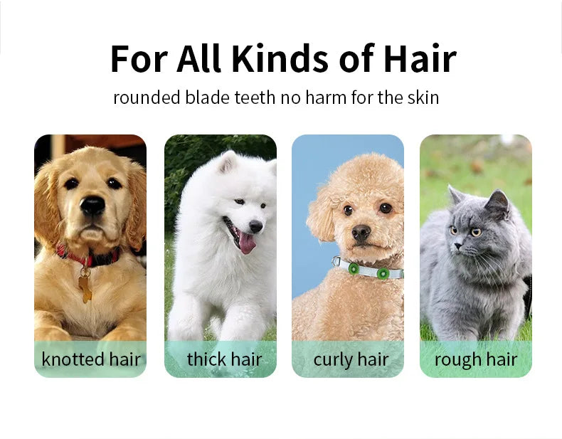 Small Dog Hair Clipper USB Rechargeable Pets Trimmer Cat Shaver Cutting Machine Puppy Carving Grooming Haircut Kit Low Noice