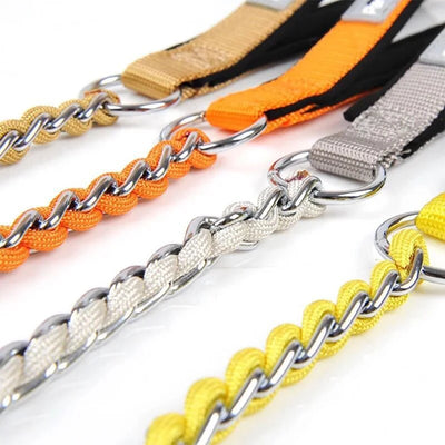 Anti-Bite Dog Leash with Continuous Bite Resistance