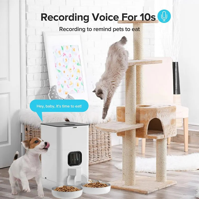 WiFi Smart Pet Feeder - 6L Capacity with Stainless Steel Bowls