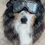 Pet Glasses New Dog Locomotive Glasses Sunglasses Medium and Large Dog Goggles Windproof Sunscreen Pet Accessories