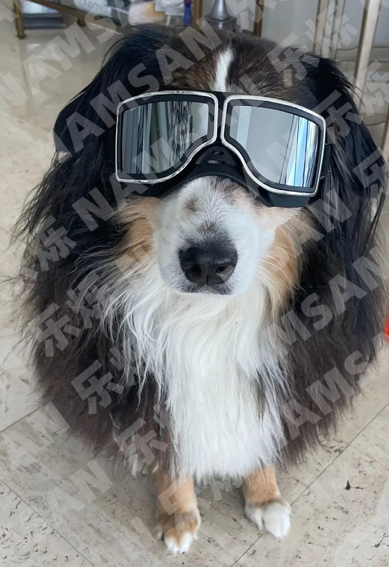Pet Glasses New Dog Locomotive Glasses Sunglasses Medium and Large Dog Goggles Windproof Sunscreen Pet Accessories