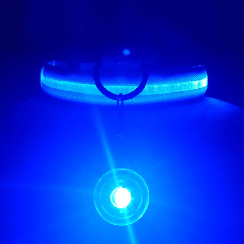 Usb Charging Glowing Dog Collar With Pendant Detachable Luxury Led Light Bright For Small Dogs Cat Night Safety Collar Wholesale