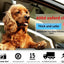 Car Boot Liner Protector For Dog Nonslip Waterproof Pet Cargo Cover Anti-Scratch Tear-Resistan Trunk Cover Mat Travel Universal