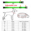 Usb Charging Glowing Dog Collar With Pendant Detachable Luxury Led Light Bright For Small Dogs Cat Night Safety Collar Wholesale