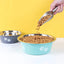 Cute Elevated Dog Bowls for Medium and Large Dogs - Stainless Steel Feeding and Water Bowls