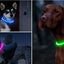 Led Usb Dog Collar Pet Dog Night Luminous Charge Collar Led Night Safety Flashing Glow Dog Loss Prevention Collar Pet Accessorie