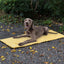 Foldable Dog Blanket, Waterproof Training Mat, Urine Absorbent Mat, Washable Outdoor Mat, Car Seat Cover, Portable Dog Mat