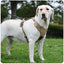 Dog Harness with Airtag Holder and Leash Set-Premium Oxford Breathable Material Durable Reflective Dog Harness and Leash Set