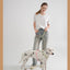 Pet Supplies Dog Collar For Small and Medium Dog Walking Sugar Color Series Cute style PVC Webbing Collar Leashes Set 2024 New