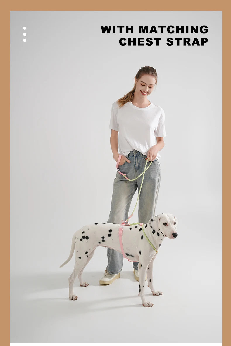 Pet Supplies Dog Collar For Small and Medium Dog Walking Sugar Color Series Cute style PVC Webbing Collar Leashes Set 2024 New