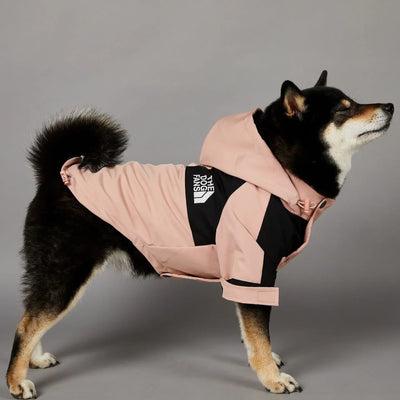 Small Dog Raincoat Clothes for Small Big Dogs Wind Coat Windbreaker French Bulldog Hoodie Octdoor Raincoats Dog Costume Coat