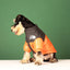 Large Winter Pet Dog Clothes French Bulldog Puppy Warm Windproof Jacket Small Medium Dog Reflective Coat Chihuahua Pet Outfits