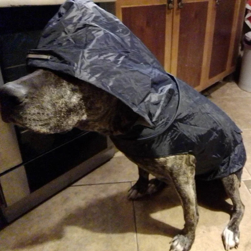 Large Pet Dog Face Raincoat Waterproof Polyester Safety Reflective Stripe Rain Jacket for Golden Retriever Labrador Husky S-6XL